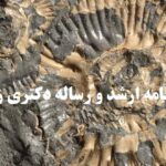 انجام پایان نامه ارشد زمین شناسی