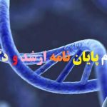 انجام پایان نامه رفتار حرکتی